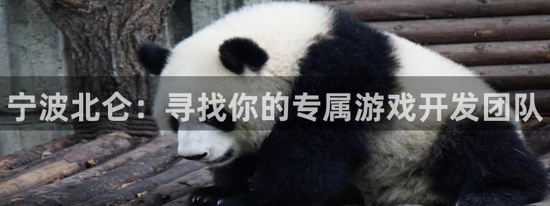 28大神下载安卓：宁波北仑：寻找你的专属游戏开发团队