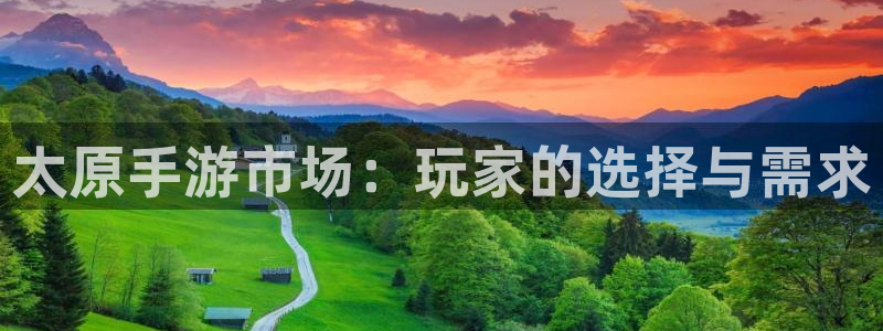 大神吧pc28预测：太原手游市场：玩家的选择与需求