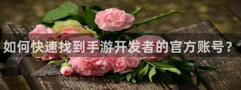 大神pc28开奖结果：如何快速找到手游开发者的官方账号？
