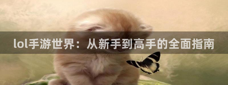28大神网页：lol手游世界：从新手到高手的全面指南