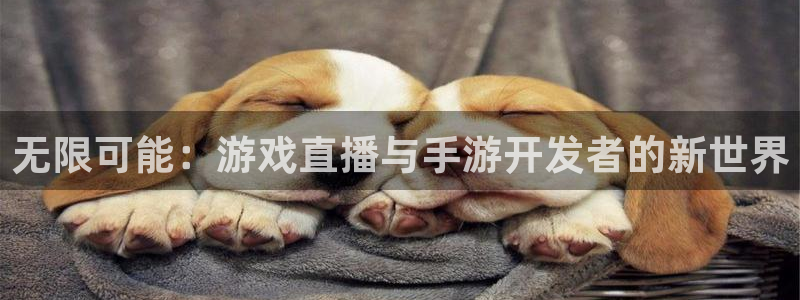 非凡游戏开奖网站：无限可能：游戏直播与手游开发者的新世界