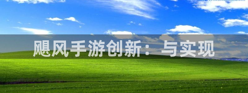 28大神苹果版下载：飓风手游创新：与实现