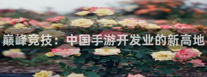 非凡游戏开奖官网查询：巅峰竞技：中国手游开发业的新高地