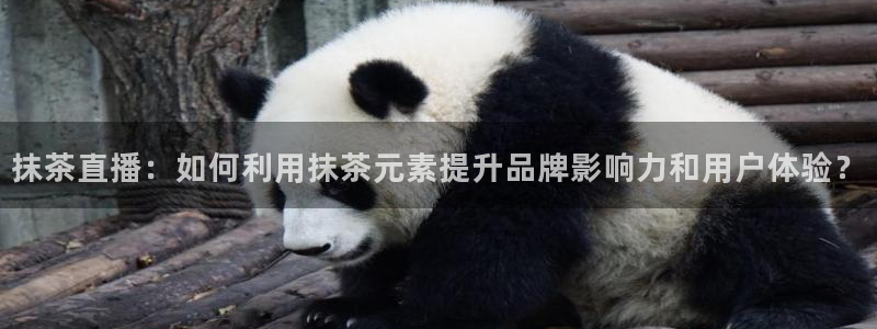 玩球tv直播：抹茶直播：如何利用抹茶元素提升品牌影响力和用户体验？
