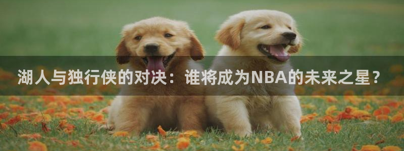 玩球直播免费下载：湖人与独行侠的对决：谁将成为NBA的未来之星？