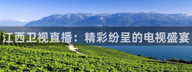 玩球视频：江西卫视直播：精彩纷呈的电视盛宴
