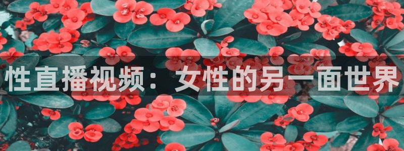 nba总决赛玩球直播：性直播视频：女性的另一面世界