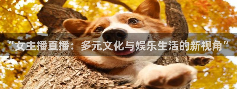 玩球nba直播：“女主播直播：多元文化与娱乐生活的新视角”