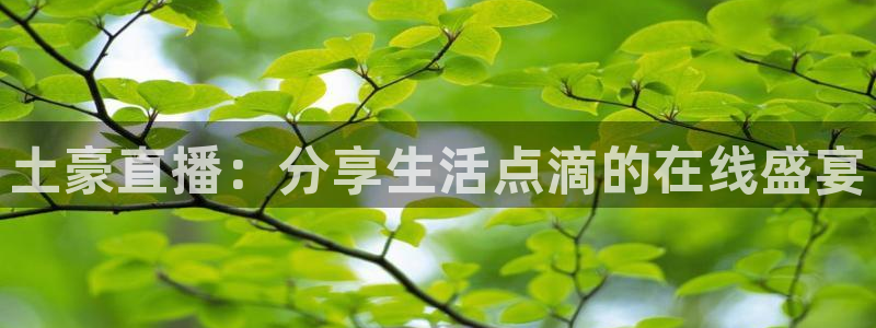 宝宝玩球视频：土豪直播：分享生活点滴的在线盛宴