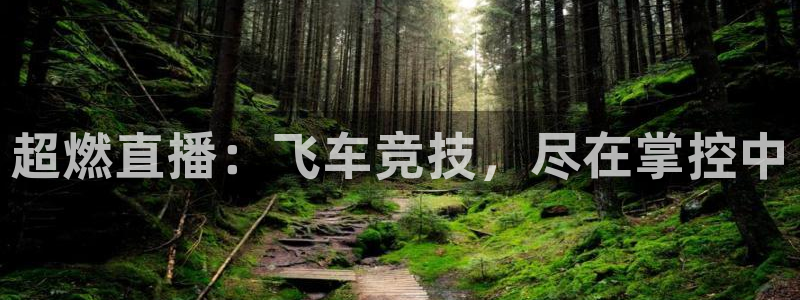 玩球直播免费高清在线：超燃直播：飞车竞技，尽在掌控中