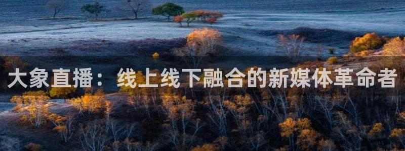 玩球直播 官网：大象直播：线上线下融合的新媒体革命者