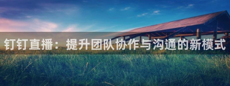 玩球tv直播：钉钉直播：提升团队协作与沟通的新模式