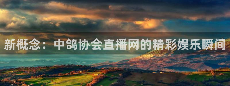 玩球体育：新概念：中鸽协会直播网的精彩娱乐瞬间