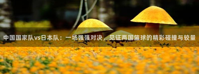 玩球体育app：中国国家队vs日本队：一场强强对决，见证两国篮球的精彩碰撞与较量