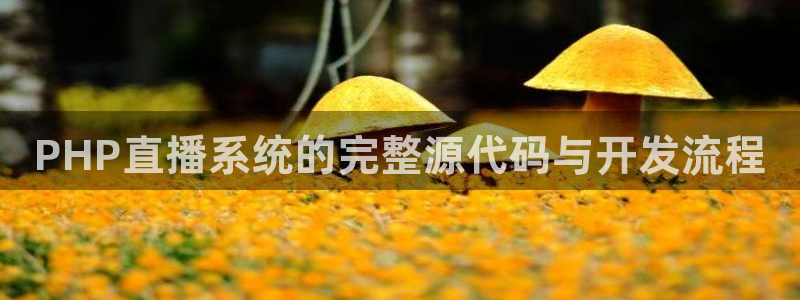 玩球直播在线观看免费观看：PHP直播系统的完整源代码与开发流程
