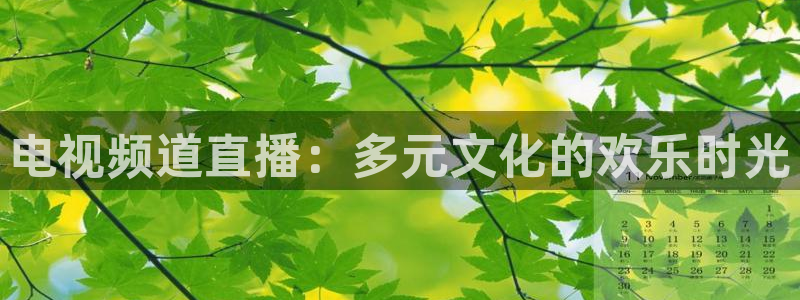 玩球直播官网app：电视频道直播：多元文化的欢乐时光