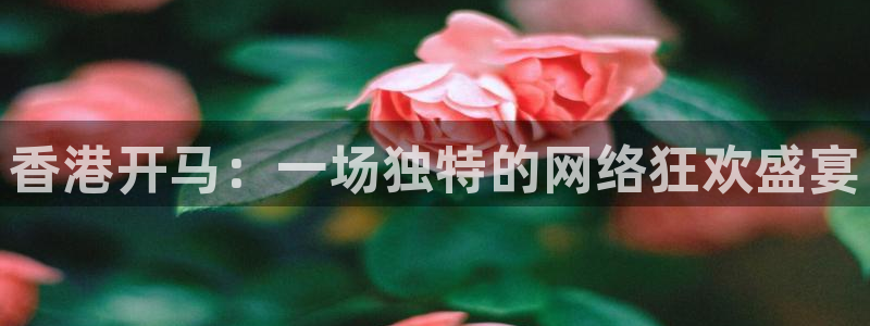 玩球体育：香港开马：一场独特的网络狂欢盛宴