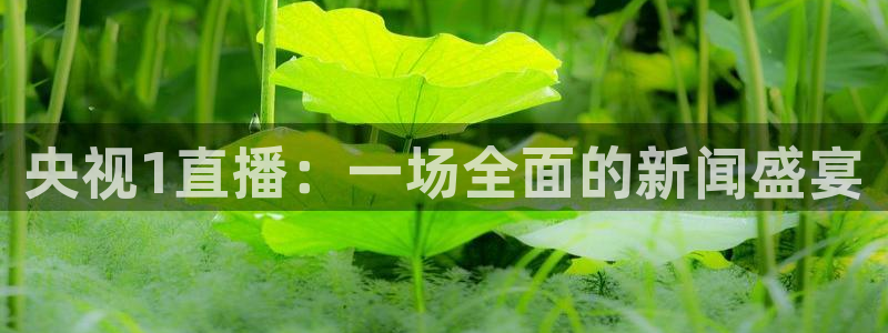 玩球直播nba在线观看免费：央视1直播：一场全面的新闻盛宴